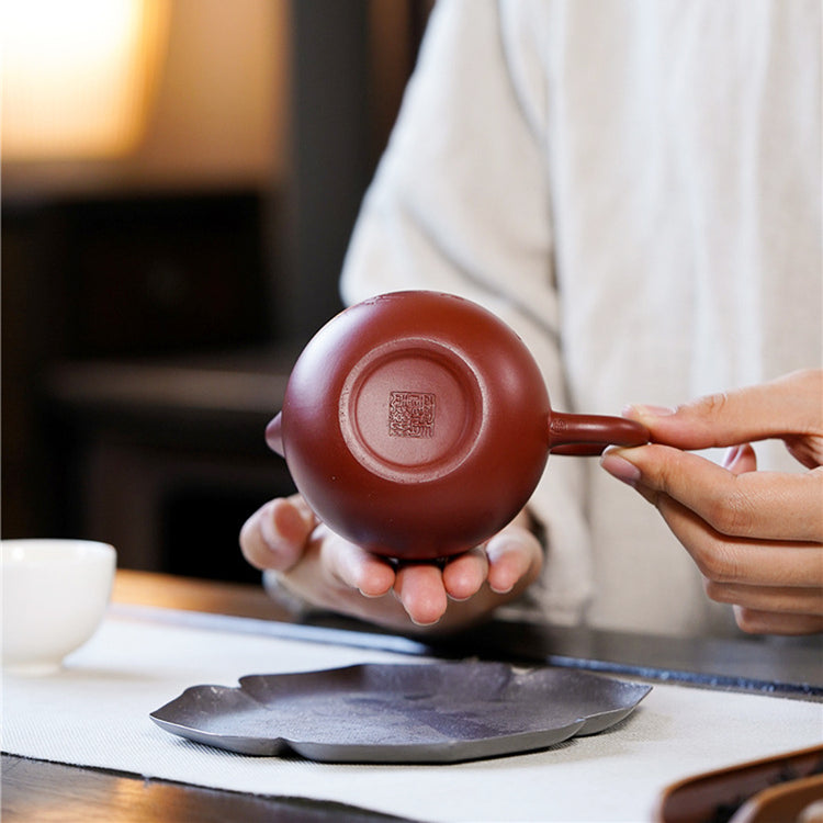 Dragon Egg